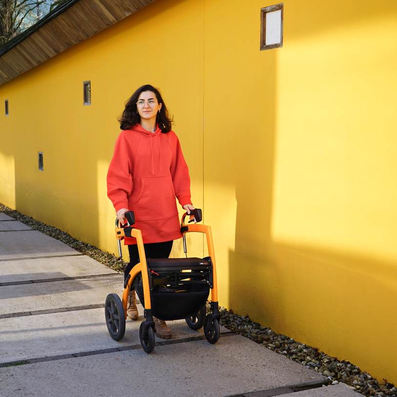 Celebrado por prefeita, Lula inaugura 'floresta urbana' em Paris