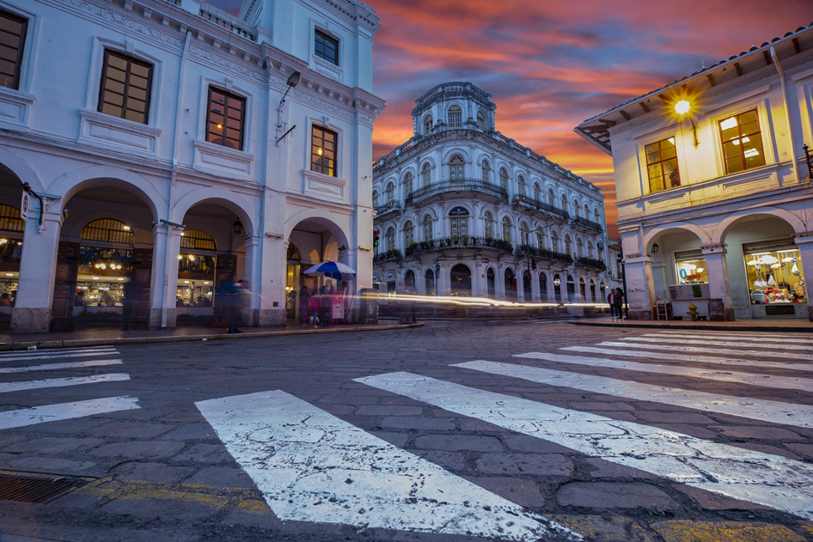 Goiás confirma gripe aviária em criação com cem galinhas domésticas